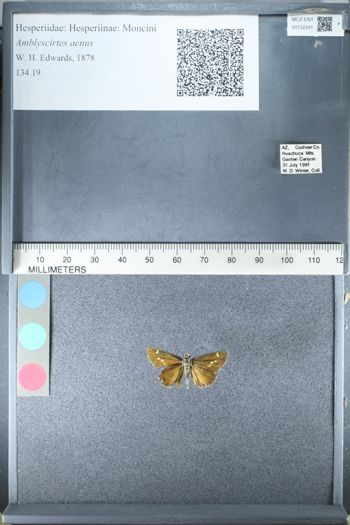 Media type: image;   Entomology 152241